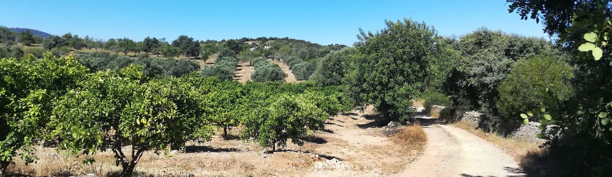 Landschap van de Oost-Algarve